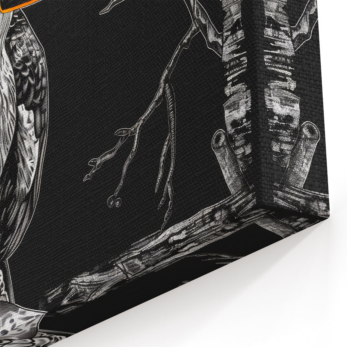 Graphic Toucan Wall Art - Bold Black and Orange Tropical Bird Print - Framed Art