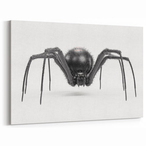 Bold Black Spider Wall Art - Minimalist Arachnid Canvas & Prints