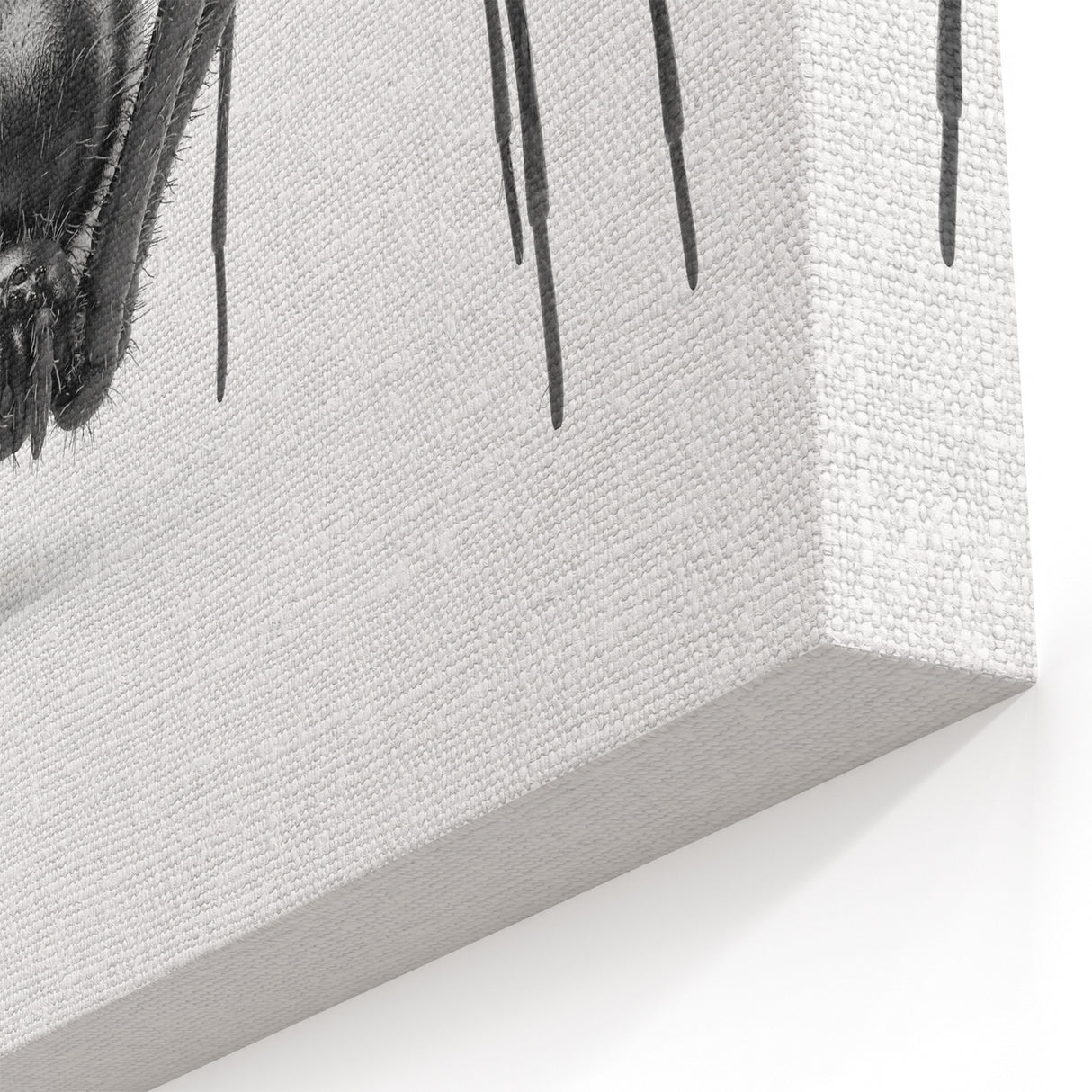 Bold Black Spider Wall Art - Minimalist Arachnid Canvas & Prints