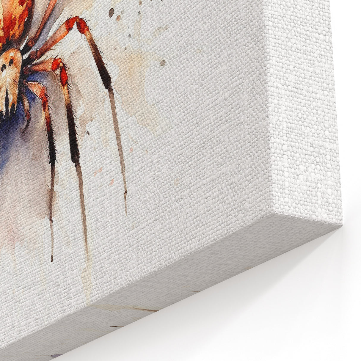 Watercolor Spider Art - Elegant Arachnid Wall Decor - Canvas & Prints