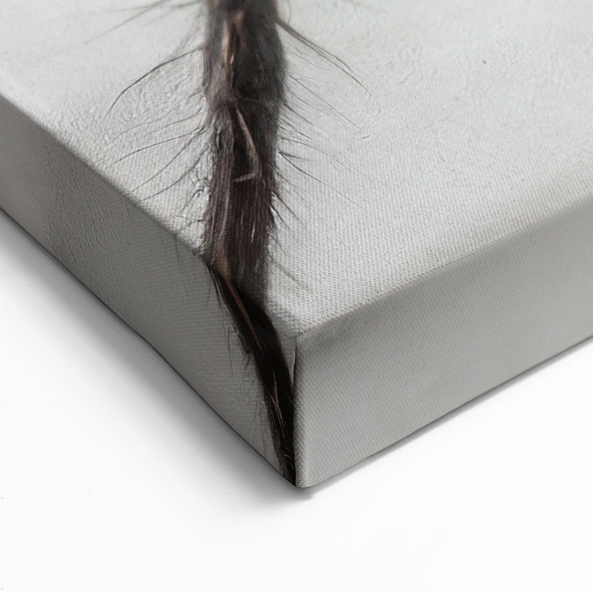 Black Spider Art - Striking Arachnid Wall Decor - Canvas & Framed Prints