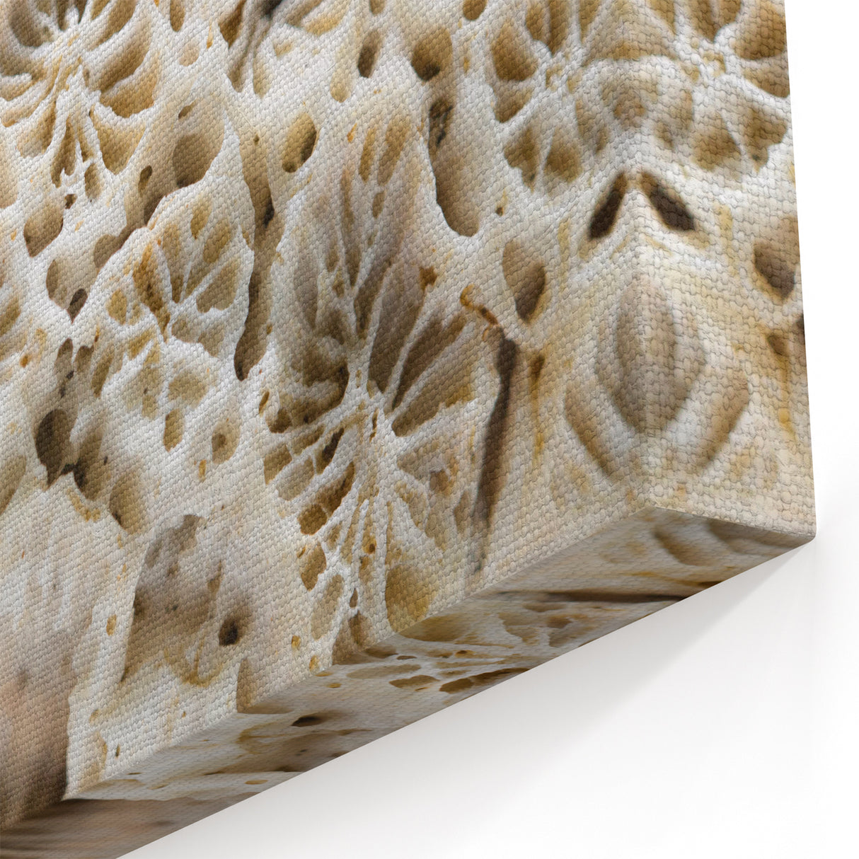 Coral Wall Art - Stunning Marine Life Coral Canvas Print & Framed Art