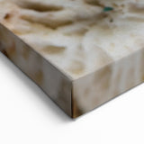 Coral Wall Art - Stunning Marine Life Coral Canvas Print & Framed Art