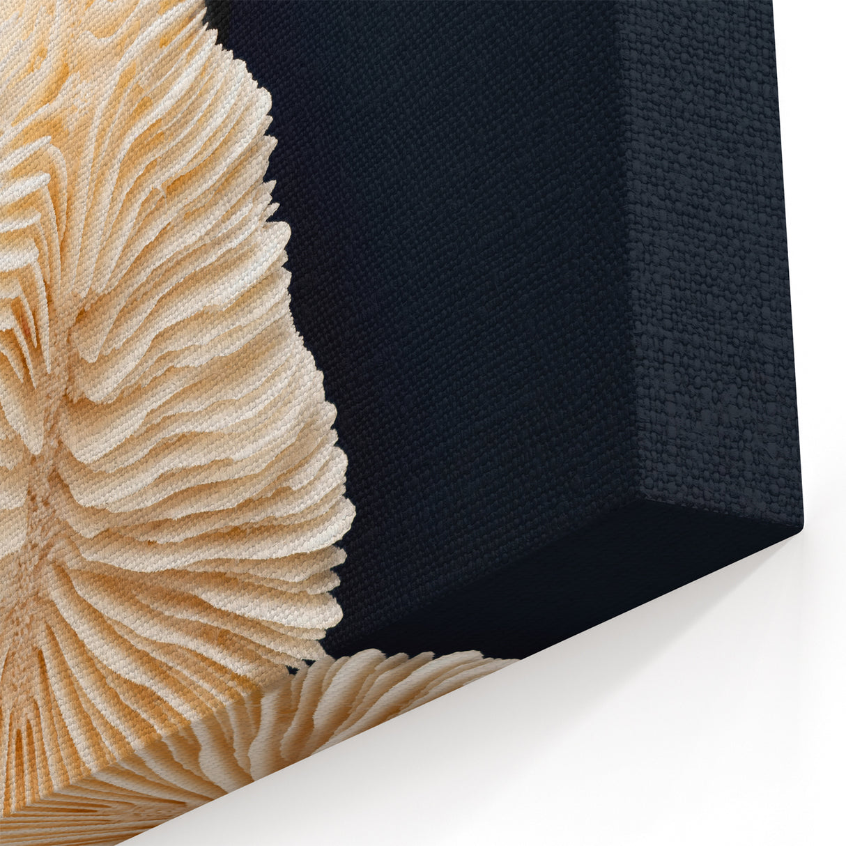 Coral Wall Art - Ocean Life Coral Canvas Print - Underwater Coral Decor