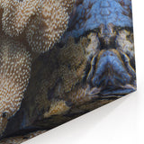 Coral Wall Art - Detailed Marine Life Coral Canvas Print & Framed Art