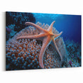 Coral and Starfish Wall Art - Ocean Life Canvas Print - Underwater Decor