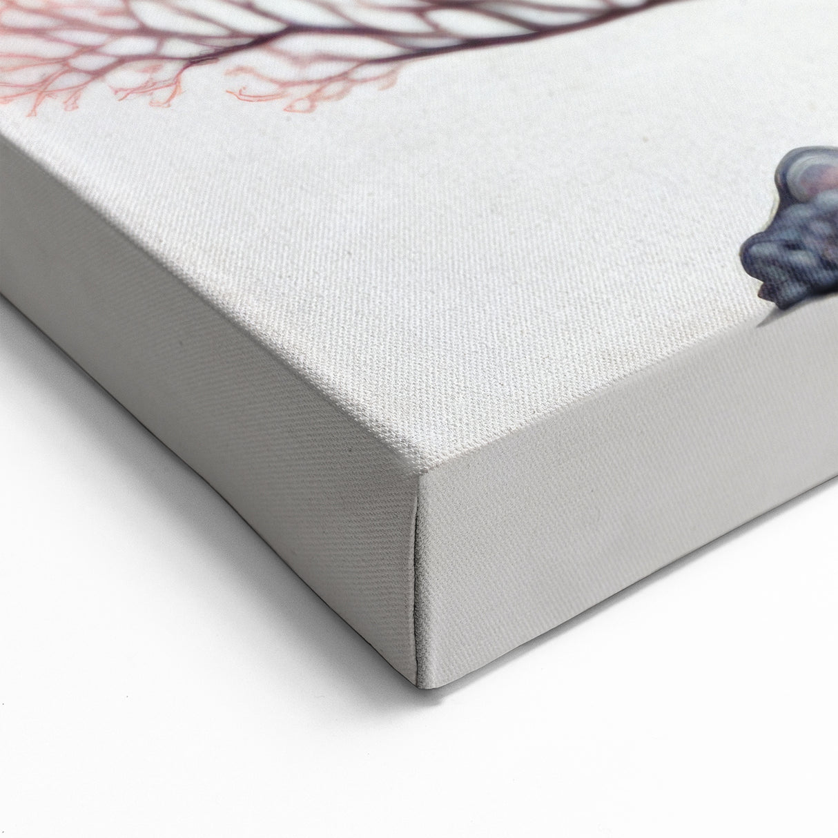 Coral Wall Art - Vibrant Marine Life Canvas Print & Framed Art Decor