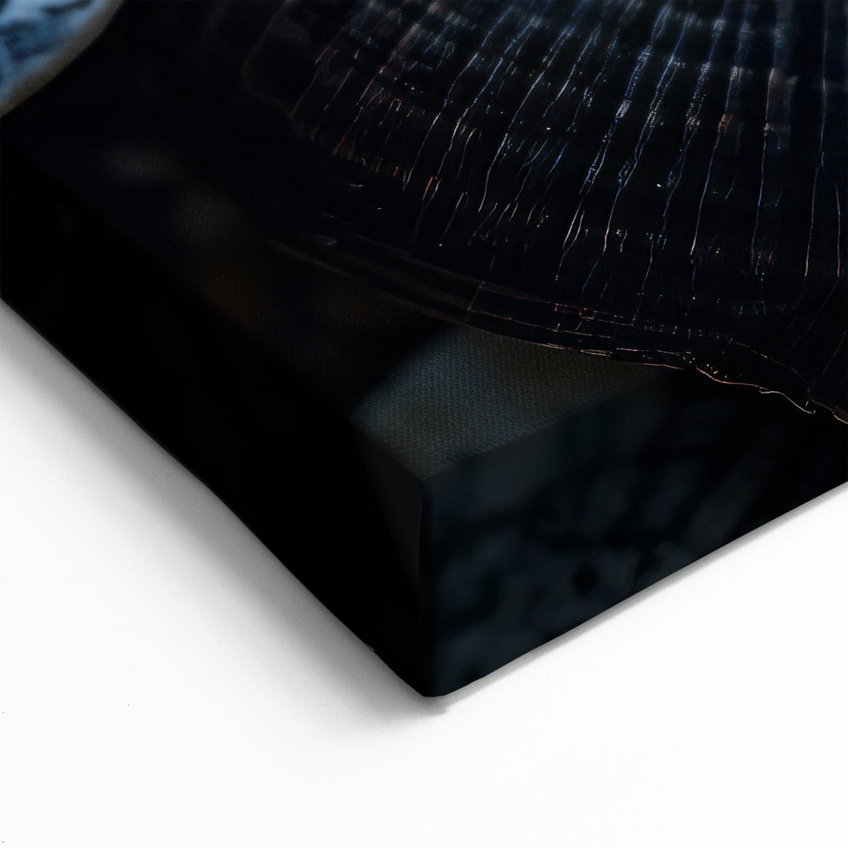 Seashell Coral Wall Art - Ocean Life Canvas Print - Marine Decor Ideas