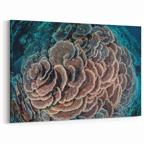 Coral Reef Wall Art - Ocean Life Canvas Print - Underwater Decor Ideas