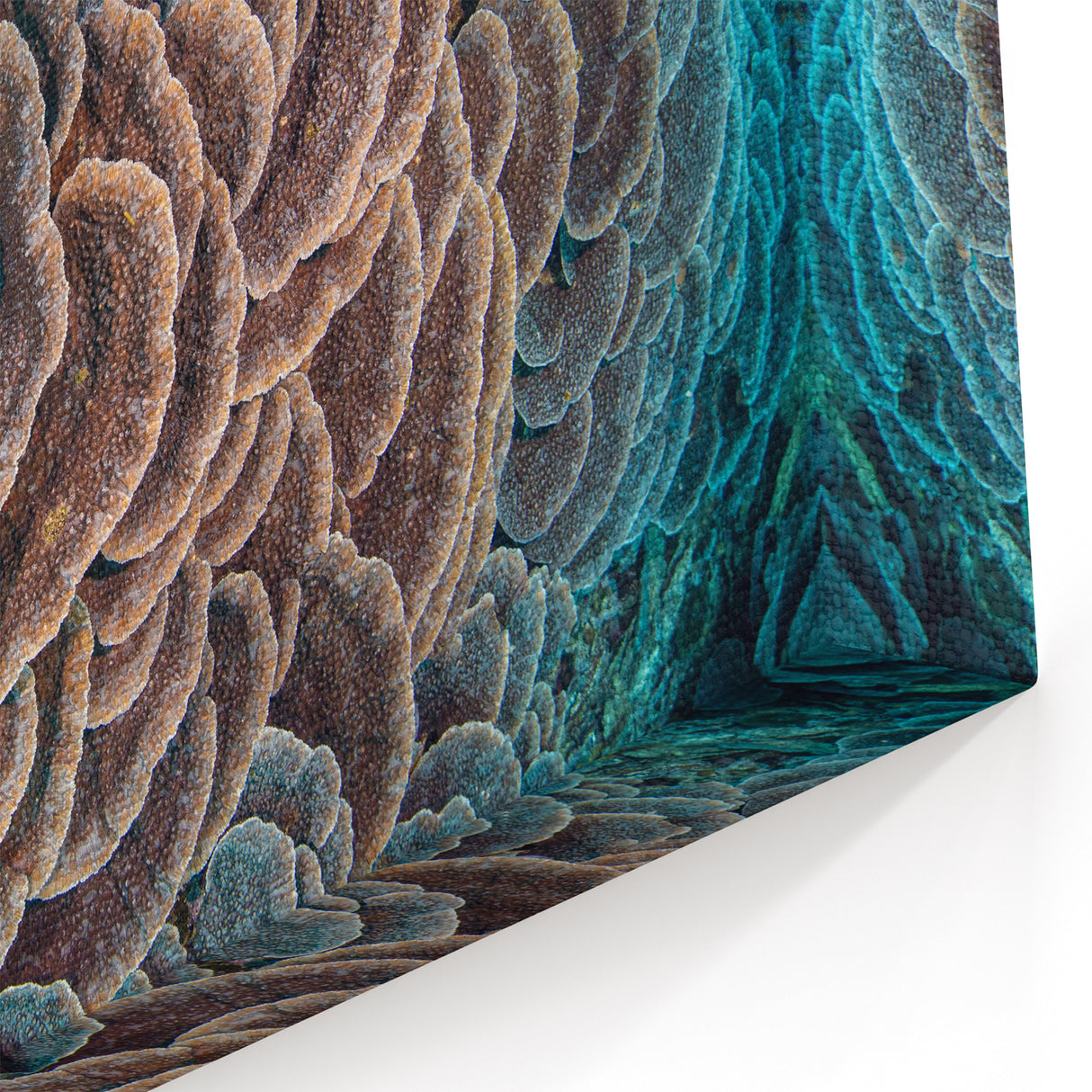 Coral Reef Wall Art - Ocean Life Canvas Print - Underwater Decor Ideas