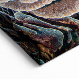 Coral Reef Wall Art - Ocean Life Canvas Print - Underwater Decor Ideas