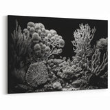 Coral Wall Art - Black and White Coral Canvas Print & Framed Art Decor