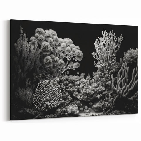 Coral Wall Art - Black and White Coral Canvas Print & Framed Art Decor