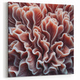 Coral Wall Art - Elegant Coral Canvas Print & Framed Art for Home Decor