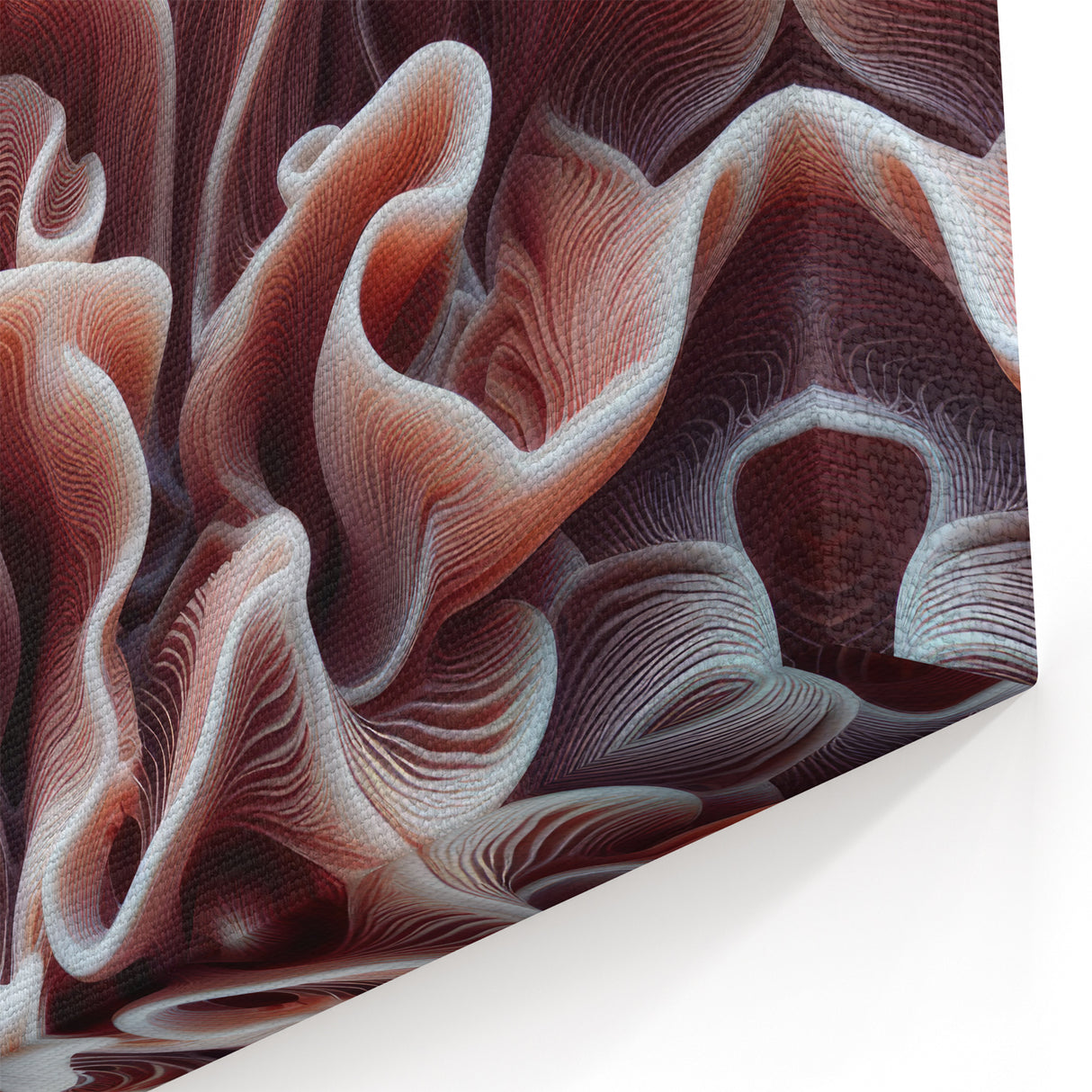 Coral Wall Art - Elegant Coral Canvas Print & Framed Art for Home Decor