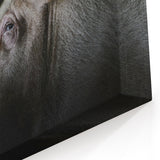 Pig Wall Art - Rustic Farm Animal Print on Canvas, Framed, or Acrylic Glass