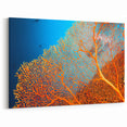 Coral Wall Art - Vibrant Orange Coral Canvas Print & Framed Art Decor