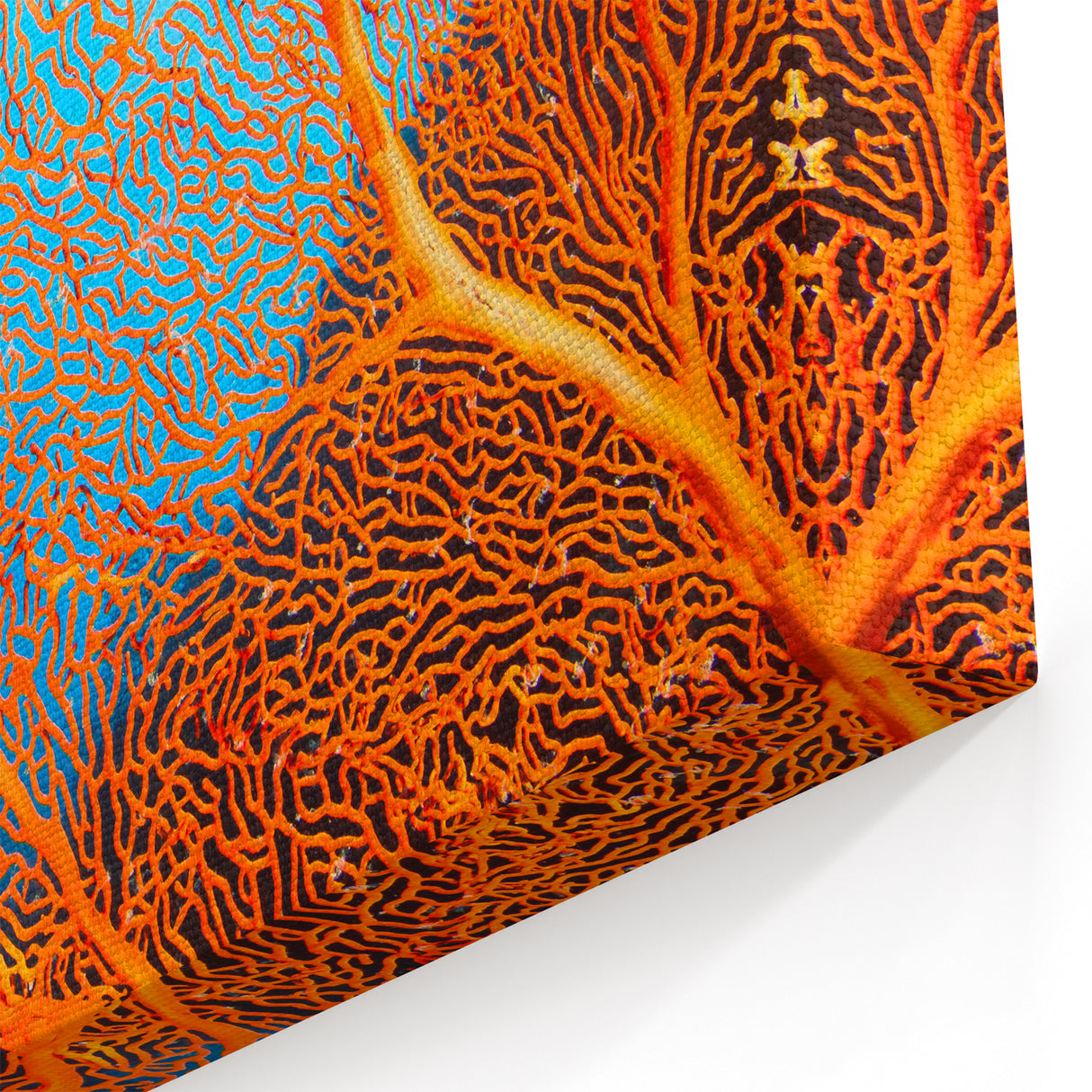 Coral Wall Art - Vibrant Orange Coral Canvas Print & Framed Art Decor