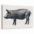 Rustic Pig Wall Art - Black & White Pig Canvas Print Farm Animal Decor