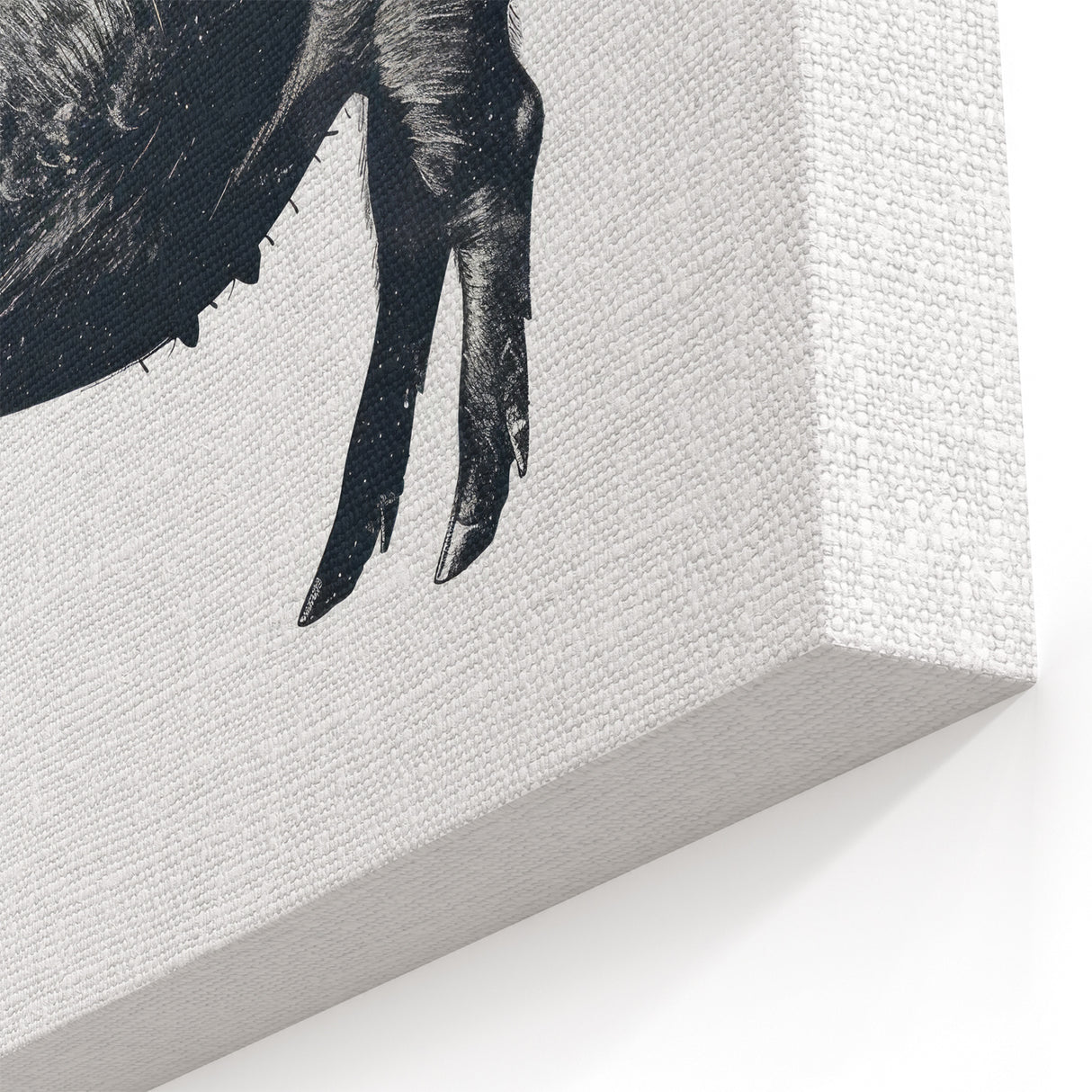 Rustic Pig Wall Art - Black & White Pig Canvas Print Farm Animal Decor