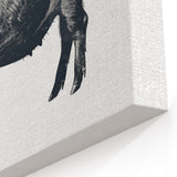 Rustic Pig Wall Art - Black & White Pig Canvas Print Farm Animal Decor