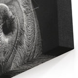 Close-Up Pig Wall Art - Detailed Pig Canvas Print Animal Decor Idea