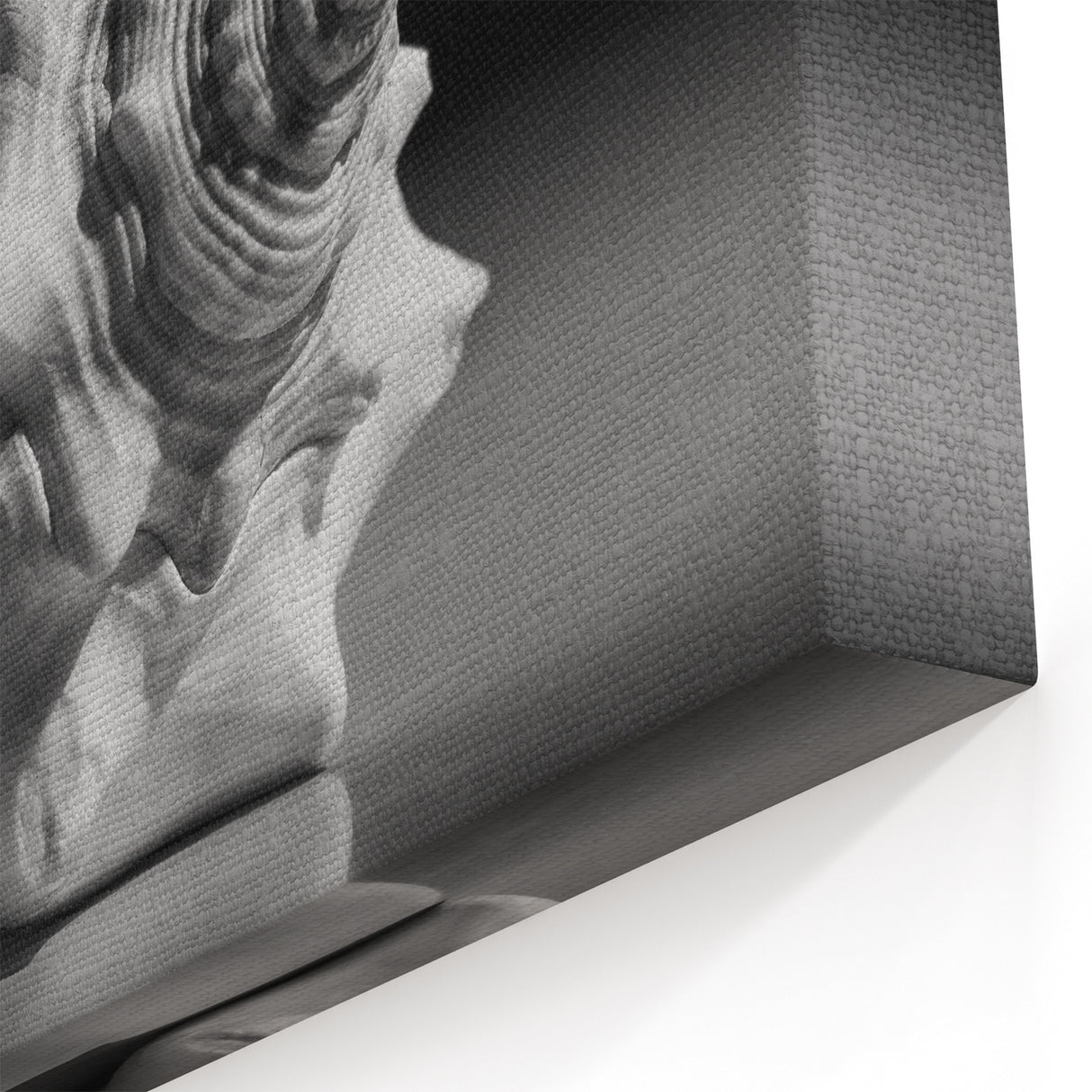 Coral Wall Art - Monochrome Seashell Canvas Print & Framed Art Decor