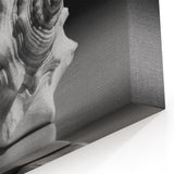 Coral Wall Art - Monochrome Seashell Canvas Print & Framed Art Decor