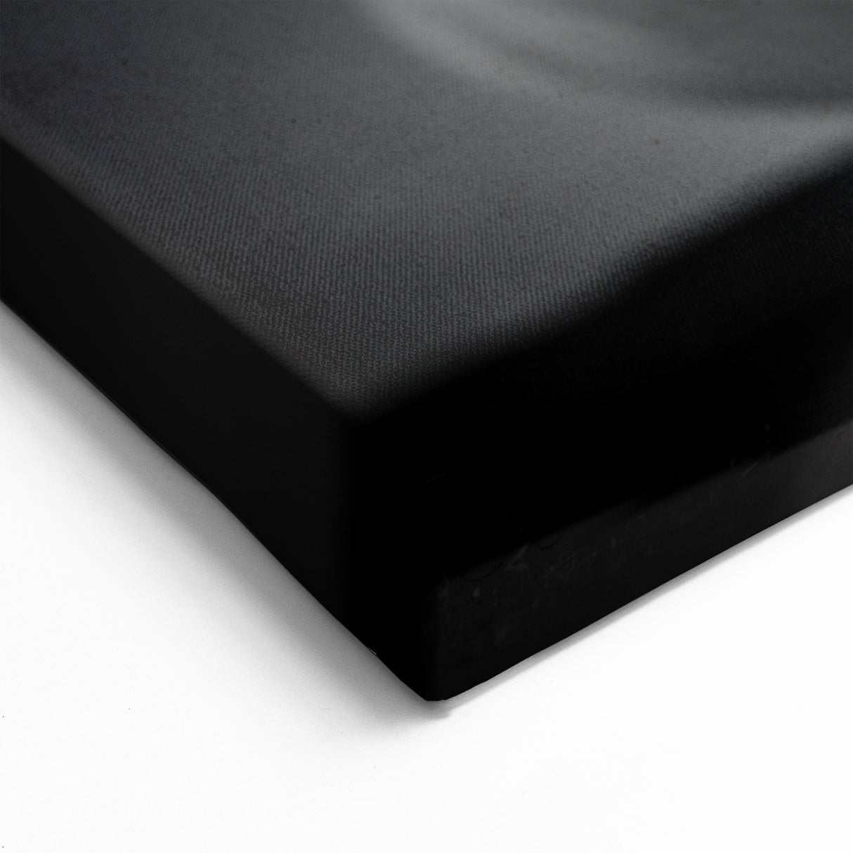 Coral Wall Art - Monochrome Seashell Canvas Print & Framed Art Decor