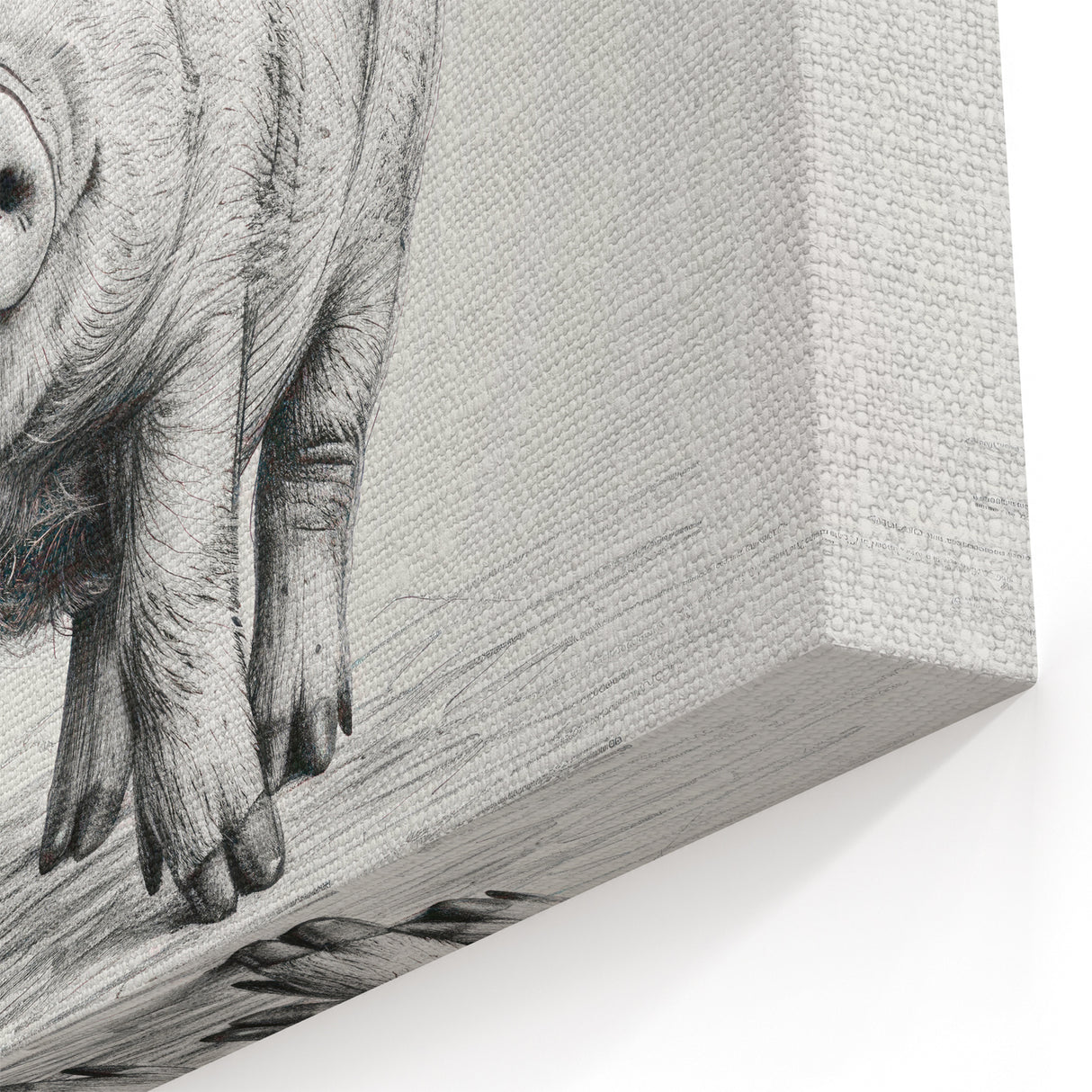 Adorable Pig Wall Art - Sketch Pig Canvas Print - Farmhouse Decor Idea