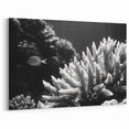 Black and White Coral Wall Art - Marine Life Canvas Print
