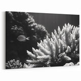 Black and White Coral Wall Art - Marine Life Canvas Print