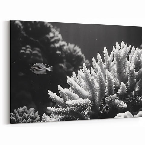 Black and White Coral Wall Art - Marine Life Canvas Print