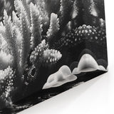 Black and White Coral Wall Art - Marine Life Canvas Print