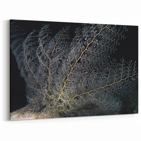 Coral Wall Art - Intricate Black Coral Canvas Print & Framed Art Decor