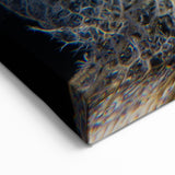 Coral Wall Art - Intricate Black Coral Canvas Print & Framed Art Decor