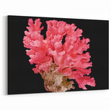Vibrant Pink Coral Wall Art - Marine Life Canvas Print
