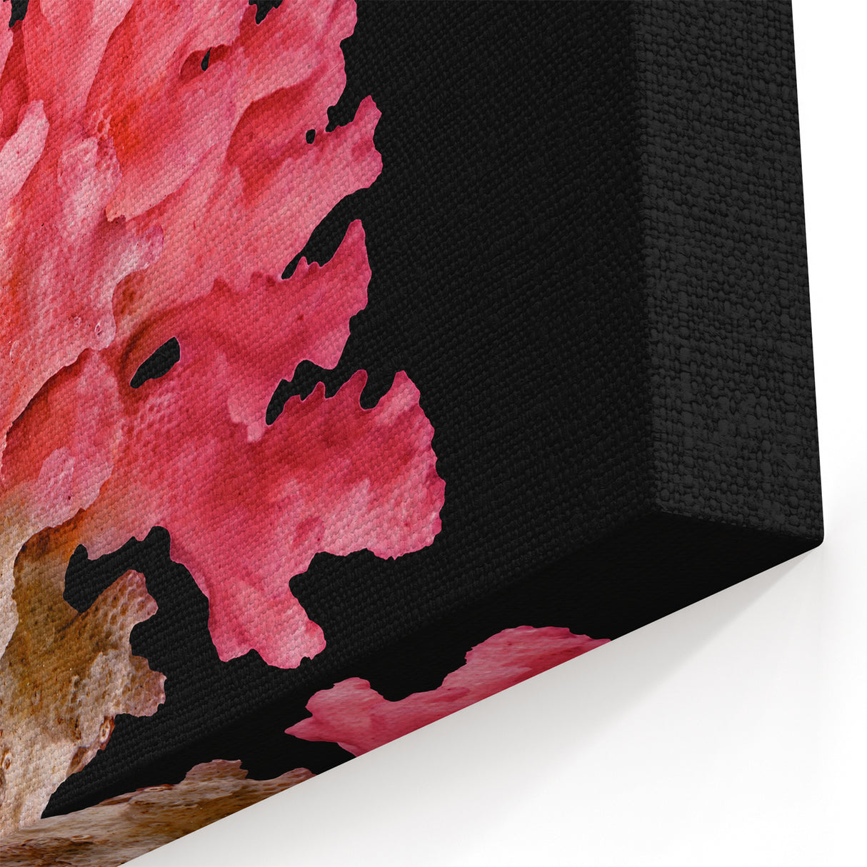 Vibrant Pink Coral Wall Art - Marine Life Canvas Print