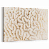 Elegant White Coral Wall Art - Minimalist Marine Life Canvas Print
