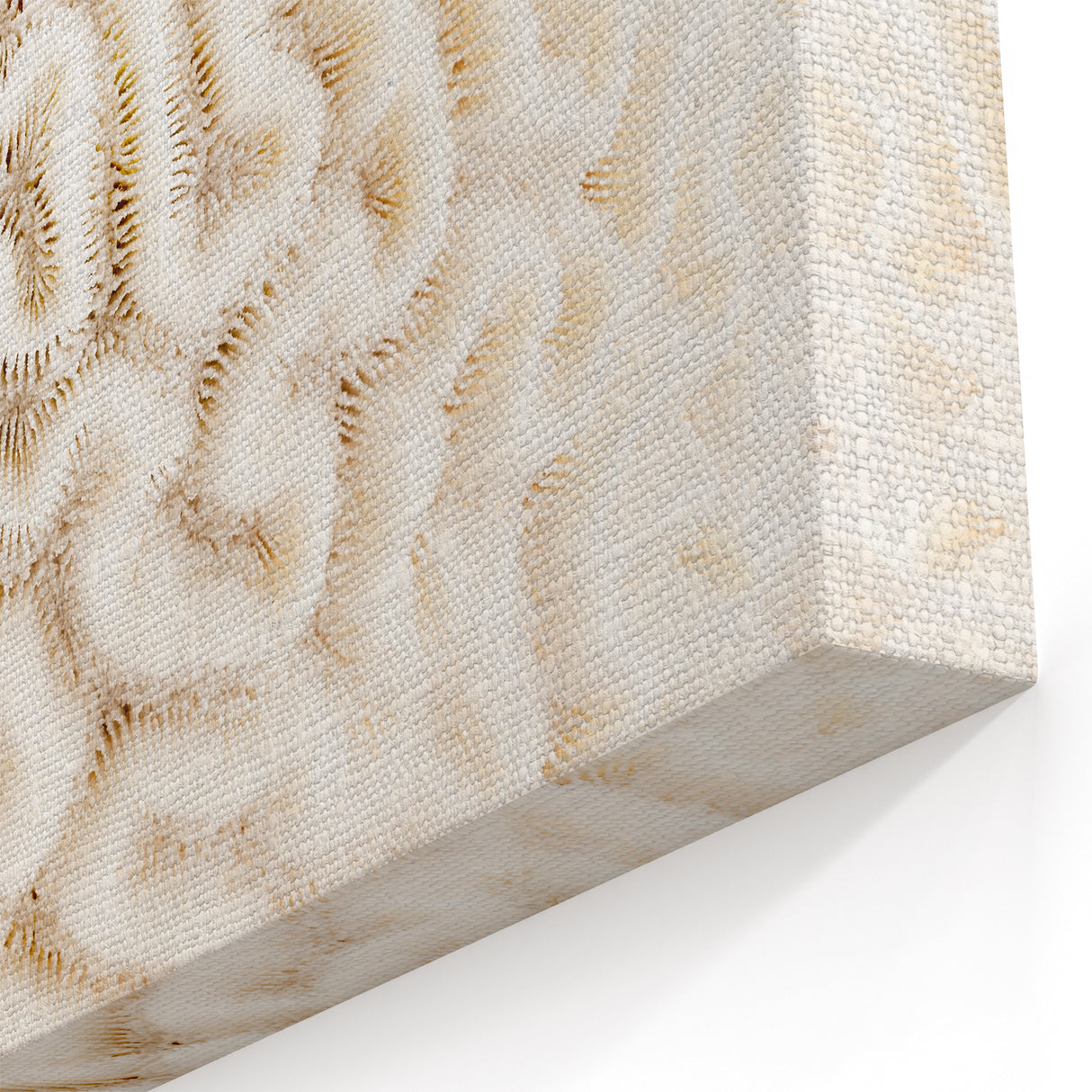 Elegant White Coral Wall Art - Minimalist Marine Life Canvas Print