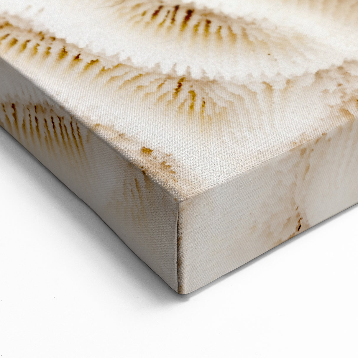 Elegant White Coral Wall Art - Minimalist Marine Life Canvas Print