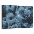 Coral Wall Art - Serene Blue Coral Canvas Print & Framed Art Decor