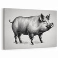 Classic Pig Wall Art - Stylized Pig Canvas Print Farmhouse Decor