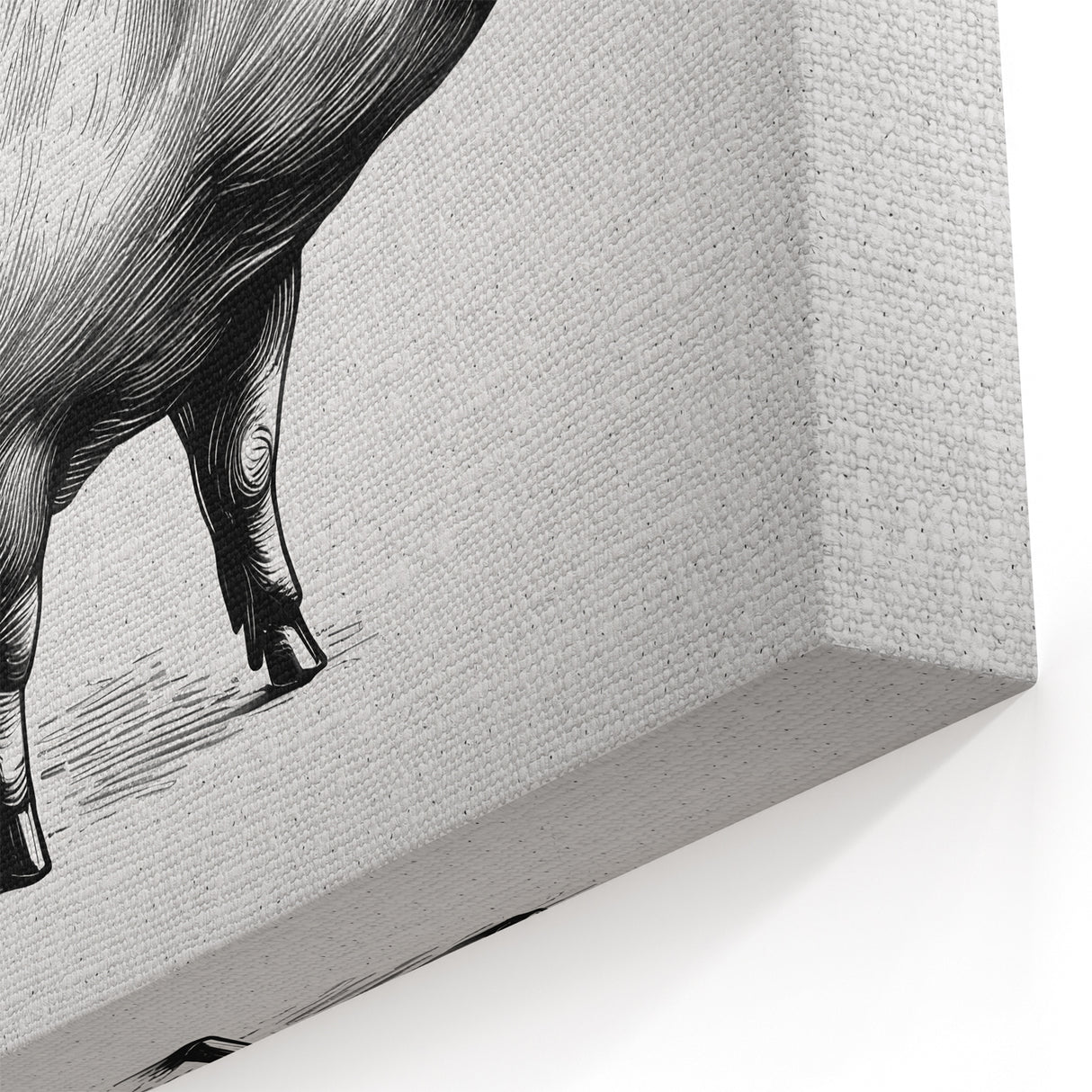 Classic Pig Wall Art - Stylized Pig Canvas Print Farmhouse Decor