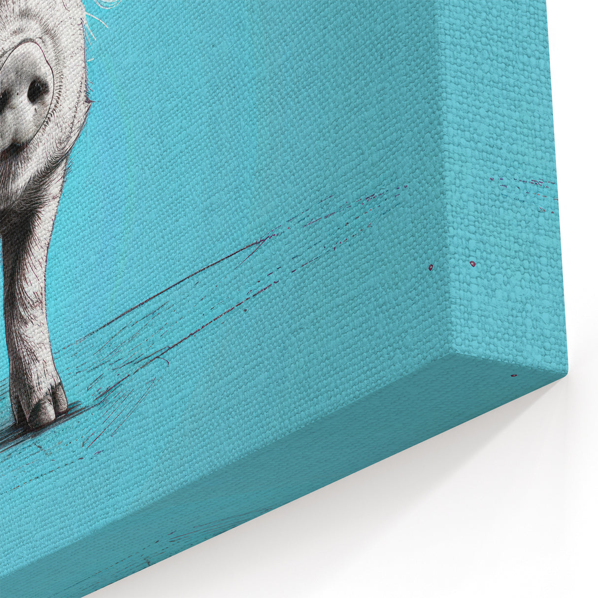 Playful Pig Wall Art - Vibrant Pig Canvas Print Farmhouse Decor