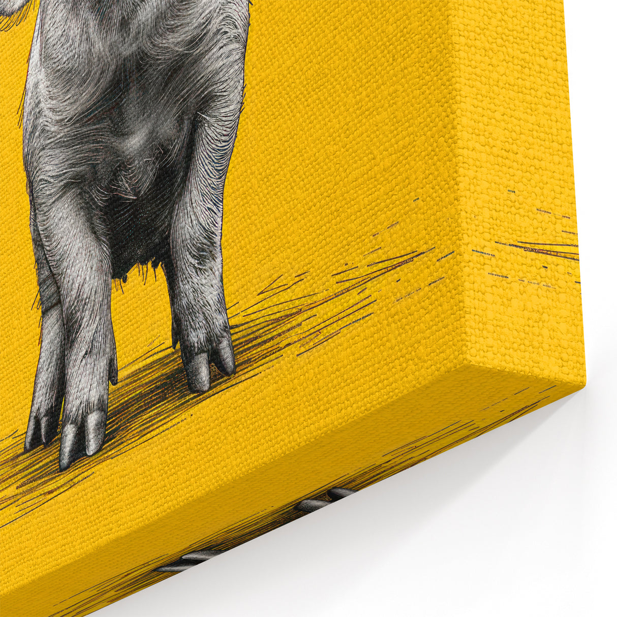 Bright Pig Wall Art - Bold Pig Canvas Print Modern Farmhouse Decor