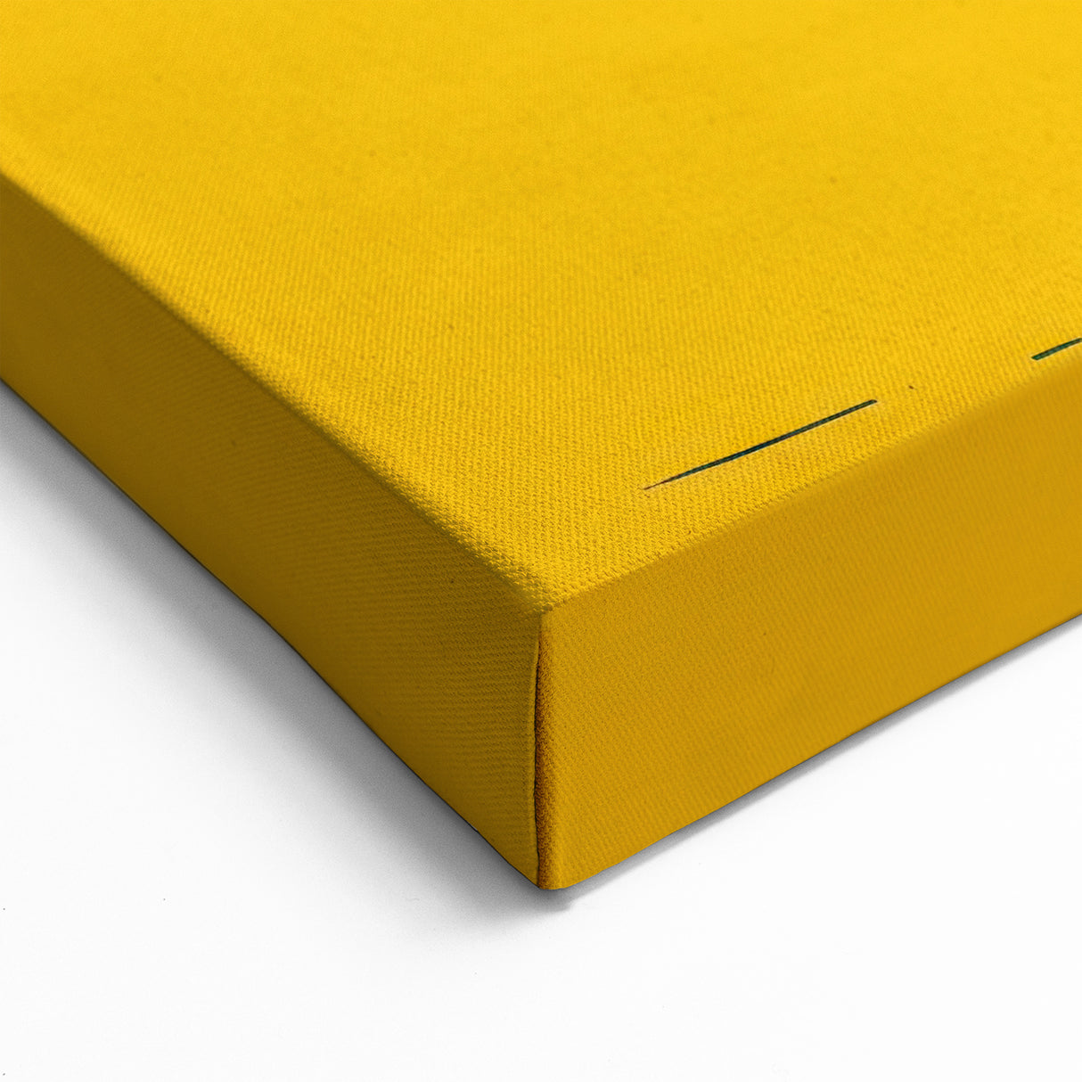 Bright Pig Wall Art - Bold Pig Canvas Print Modern Farmhouse Decor