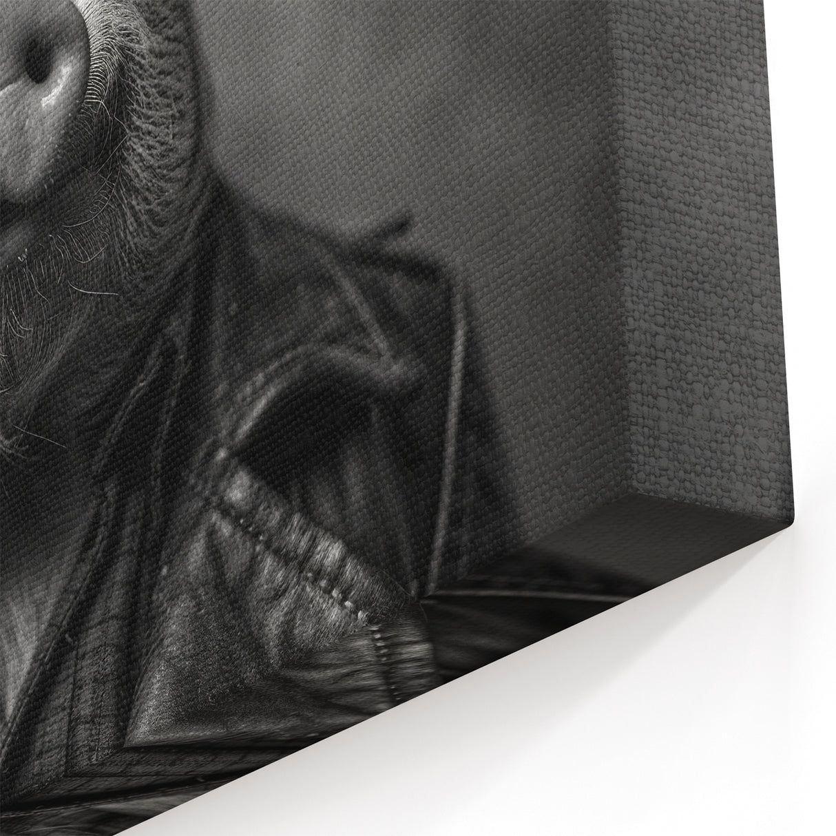 Cool Pig Wall Art - Rebel Pig Canvas Print Modern Decor Statement