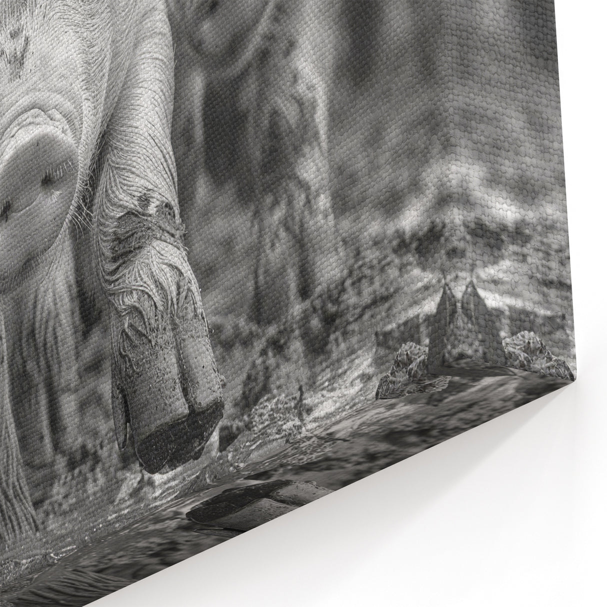 Dynamic Pig Wall Art - Running Pigs Canvas Print Farmhouse Decor