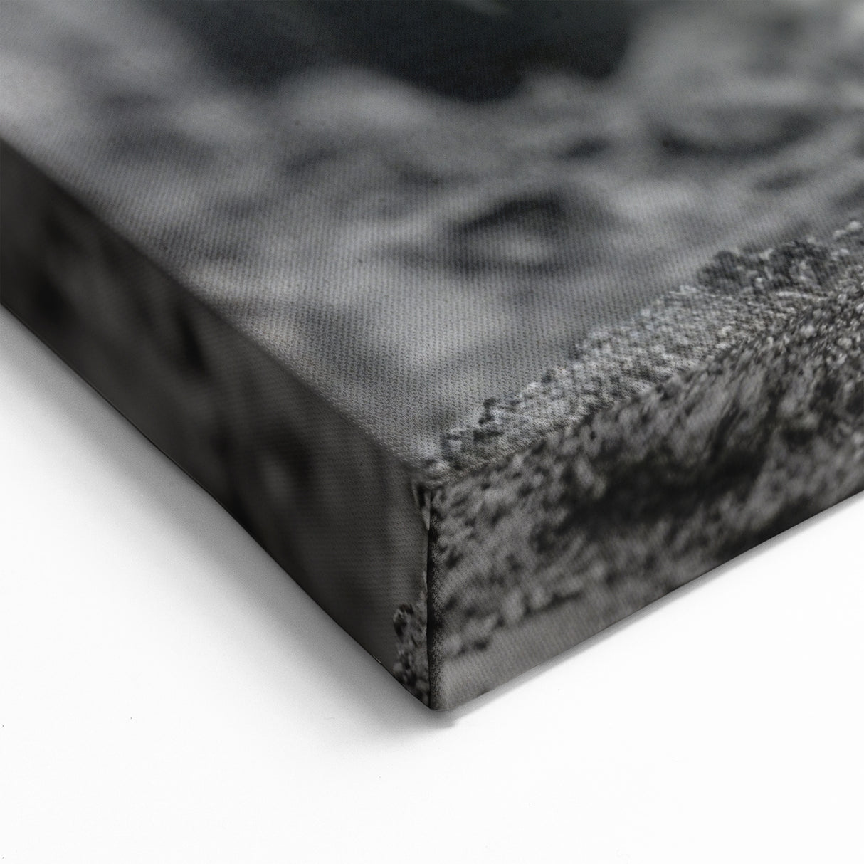 Dynamic Pig Wall Art - Running Pigs Canvas Print Farmhouse Decor